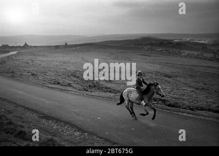 ebbw hilltop