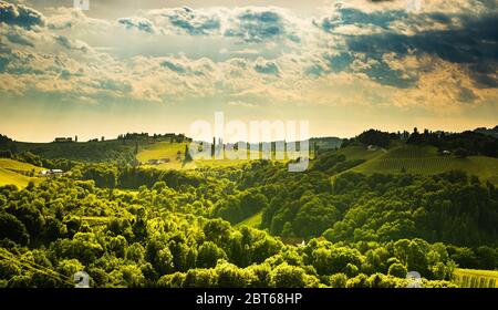South styria vineyards landscape, near Gamlitz, Austria, Eckberg, Europe. Grape hills view from wine road in spring. Stock Photo