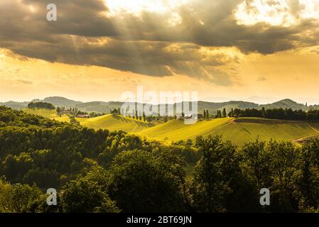South styria vineyards landscape, near Gamlitz, Austria, Eckberg, Europe. Grape hills view from wine road in spring. Stock Photo