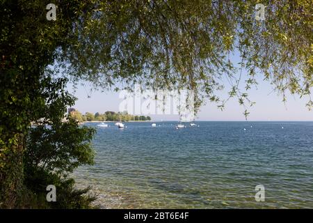 beautiful view over the Lake Constance in rorschach, switzerland, with overhanging tree Stock Photo