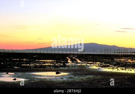 Sunset at Powfoot looking to Criffell Hill with Salmon Stake nets, Annandale, Dumfriesshire Stock Photo