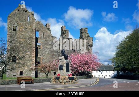 Mcclellans Castle with Cherry Blossom tree and blue sky, Kirkcudbright, Galloway Stock Photo