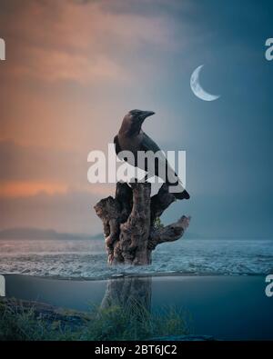 crow standing on tree branch floating on sea evening moon underwater fantasy Stock Photo
