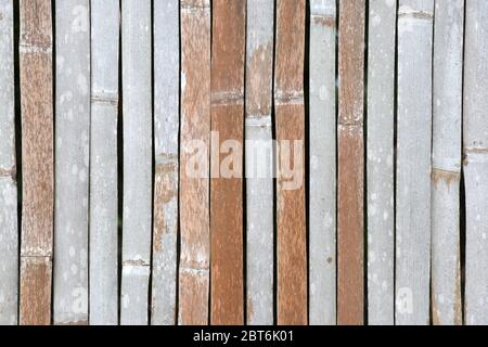 Vertical bamboo background. Dry bamboo background. Stock Photo