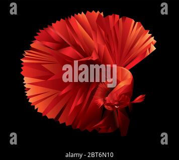 Beautiful cubism Siamese fighting fish isolated Stock Vector