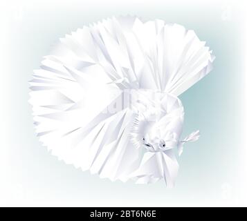 Beautiful cubism Siamese fighting fish isolated Stock Vector
