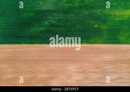 Beautiful field background with wheat and soil divided in half. View from above Stock Photo