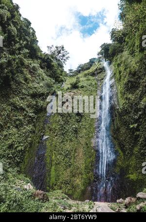 Water cascades down the mossy green volcanic cliffs of the San Ramon waterfall on Isla de Ometepe, Nicaragua Stock Photo