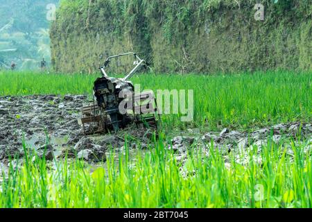 Close view at small portable rusty old agriculture tractor standing on green rice paddy. Field with a lot of water for rice growing on terraces Stock Photo