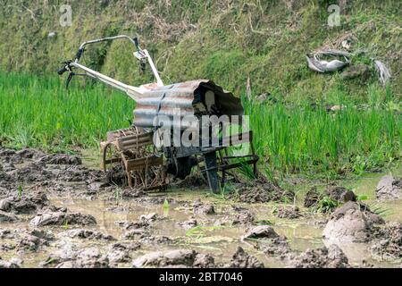 Close view at small portable rusty old agriculture tractor standing on green rice paddy. Field with a lot of water for rice growing on terraces in tro Stock Photo