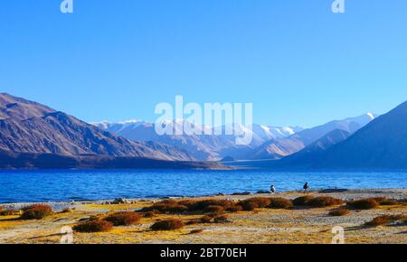 Pangong lake located in Ladakh, India. Stock Photo