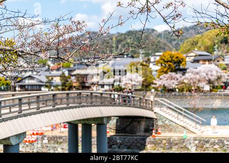 Uji, Japan river in spring in traditional village with view of houses cityscape and bridge blurry background and cherry blossom sakura flowers in fore Stock Photo