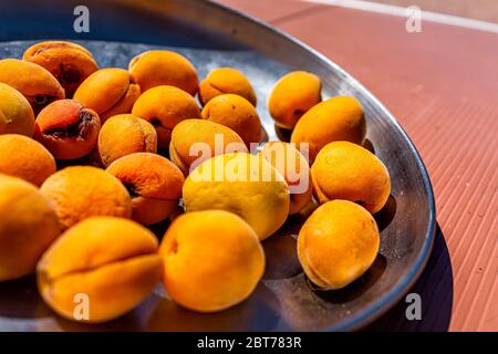 Apricots harvest picking of ripe orange yellow fruit on metal plate and table macro closeup showing texture Stock Photo