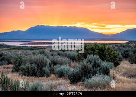 Orange red yellow sunlight sunrise on Great Salt Lake in Antelope Island State Park Ladyfinger campground with reflection on water and sun rays Stock Photo