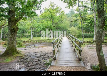 A small footbridge called Puttles bridge crosses Ober water in the New Forest Stock Photo