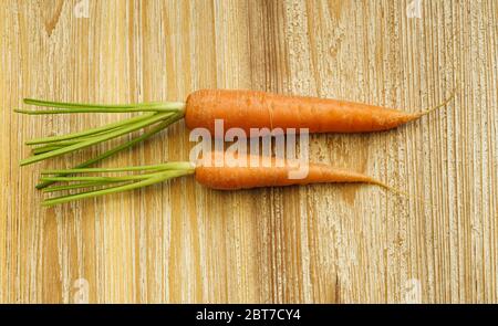 Still life with two carrots from organic farming on a wooden board in light tones and rustic texture. Stock Photo