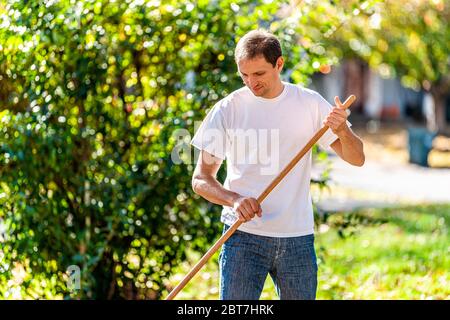 Person homeowner man in garden yard backyard raking autumn leaves standing with rake looking down in fall sunny sunlight outside Stock Photo
