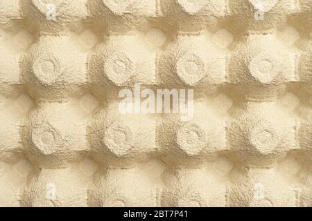 Empty paper packaging for eggs with cells. Abstract background. The concept of paleo diet. Bottom view Stock Photo