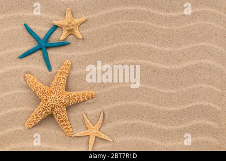 Starfish lying on the sand dunes. Top view Stock Photo