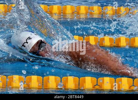 Sebastien Rouault of French in Finale 1500 M NL Men during the Swimming ...