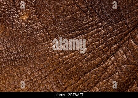 Old vintage genuine soft brown leather texture background, top layer with pores and scratches, macro, close-up Stock Photo