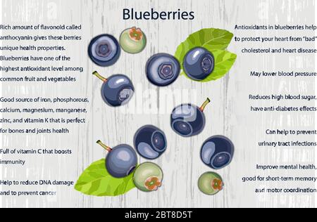 Blueberry health benefits infographics on wooden background Stock Vector