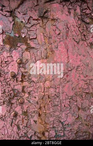 chipping and peeling red paint on metal rusted plate Stock Photo