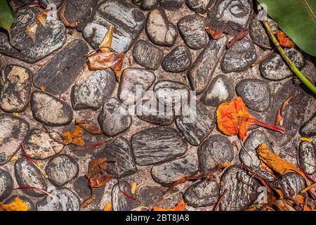 background stones flowers Thailand. orange and braun  Stock Photo