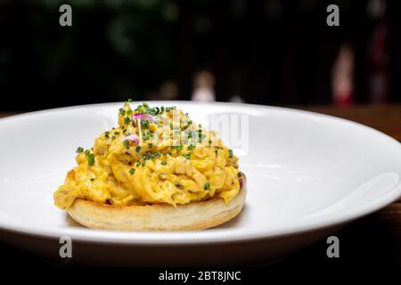Scramble Egg with Truffle mushroom oil, international gourmet cuisine traditional breakfast of europe. Restaurant gastronomy food and drink consumeris Stock Photo