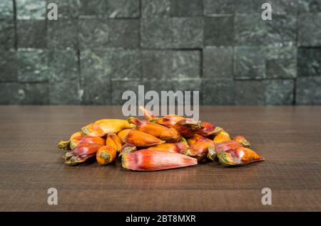 Pinion, traditional Brazilian food, seed of the auraucaria. Stock Photo