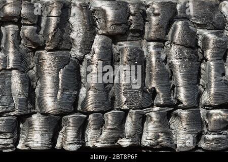 Burnt wooden wall background Stock Photo
