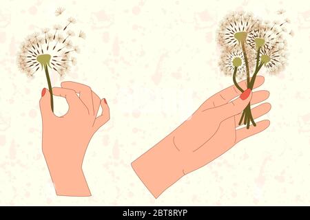 Set of two hands and dandelion bouquet in flat style. Meadow blossom. Vector isolated art concept. Stock Vector