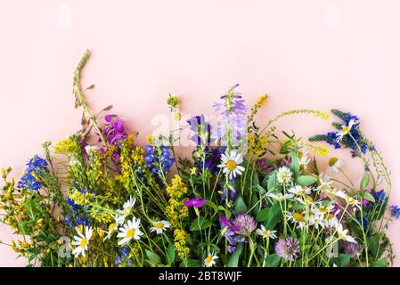 Wild summer flowers, bunch of meadow flowers on pink background, top view, copy space. Summer and natural lifestyle concept. Stock Photo
