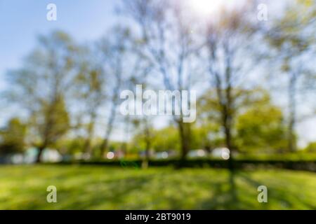 Blur park with sun light abstract background. Stock Photo