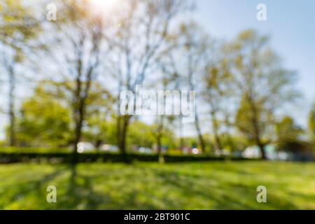 Blur park with sun light abstract background. Stock Photo