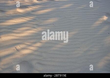 This unique photo shows the sand structure on a beach in Thailand with sunlight and shade. the picture was taken at noon. Stock Photo