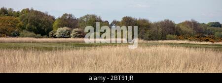 A View Across the marshes at Minsmere Stock Photo