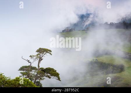 Misty evening in the farmlands between Rio Sereno and the town Volcan, Chiriqui province, Republic of Panama. Stock Photo