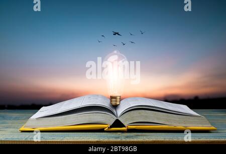 open book with light bulb on table and bird flying on sky, knowledge and wisdom concept Stock Photo