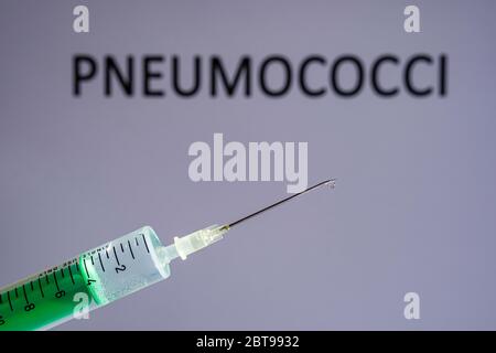 This photo illustration shows a disposable syringe with hypodermic needle, PNEUMOCOCCI written on a grey board behind Stock Photo