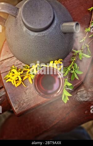 black tea in a cup on a sunny day Stock Photo
