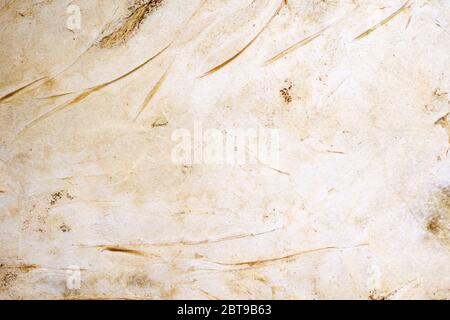 Old white leather background. Scratch line on white leather texture as background. Stock Photo
