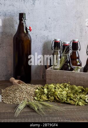 Beer growlers and ingredients. Home brewing. Stock Photo