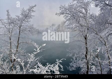 Frozen nature in Yakutia. Yakutia is one of the most coldest place on earth. Snow and frozen branches, trees and lakes during whole winter time Stock Photo