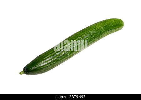 long cucumber. isolate on white background. bright green vegetable Stock Photo