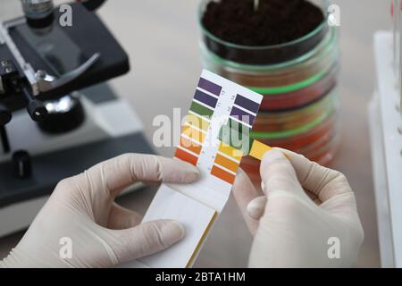 Hands holding litmus test paper for soil analysis Stock Photo