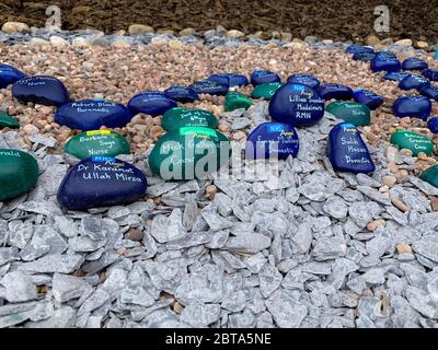 A Long Eaton (Derbyshire) resident and NHS worker presents a Tribute and Memorial to the dedicated members of the NHS and Social Care family who gave their lives during the fight against COVID-19. Stock Photo