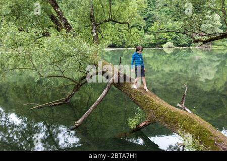 Boy climbing on a tree trunk by a river Stock Photo