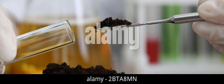 soil sampling for chemical analysis and ph test Stock Photo