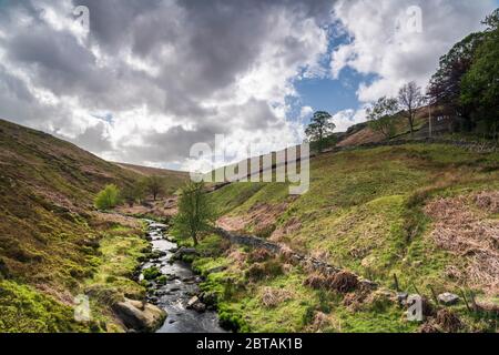 A summer three image HDR picture of Graining Water, which flows down Hardcastle Crags to Hebden Bridge in West Yorkshire. 21 May 2020 Stock Photo